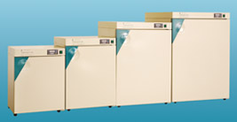 Electric Thermostatic Incubators