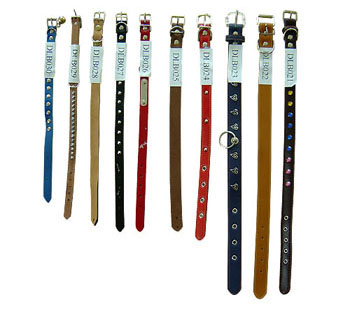 pet strap