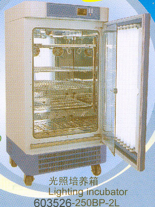 Lighting Incubator (floodlight)