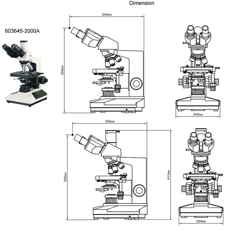 light microscope