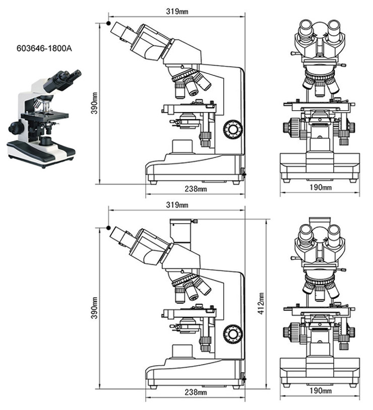 dissecting microscope