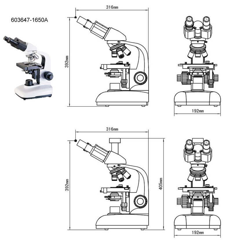 compound microscope