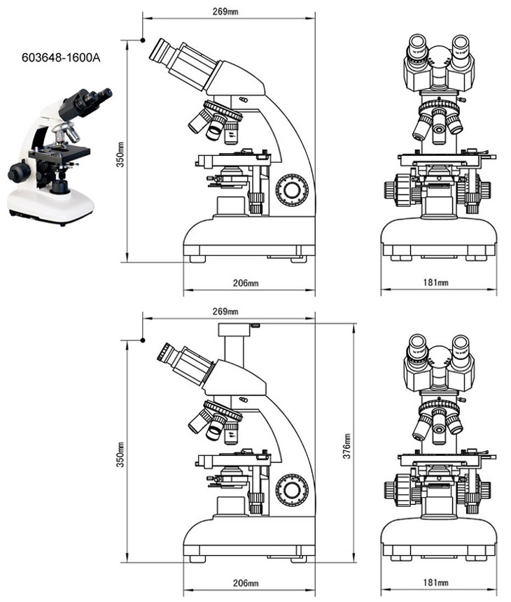 compound microscopes