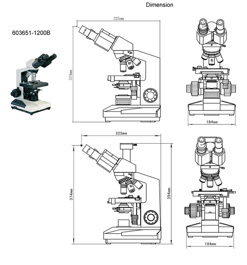 binocular microscope