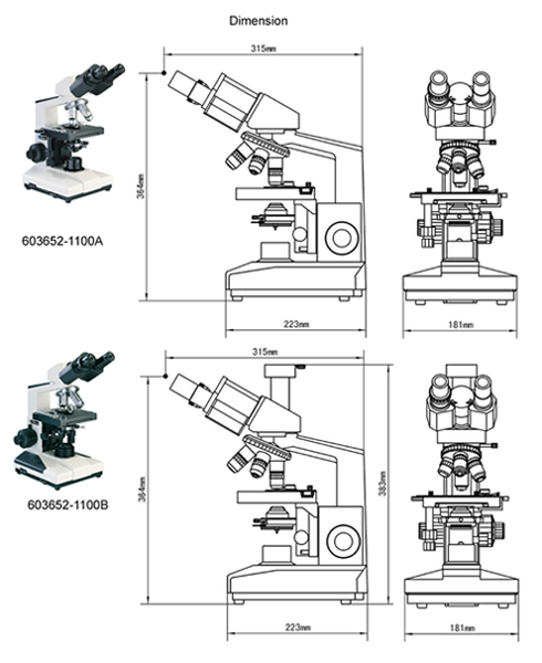 inverted  microscopes