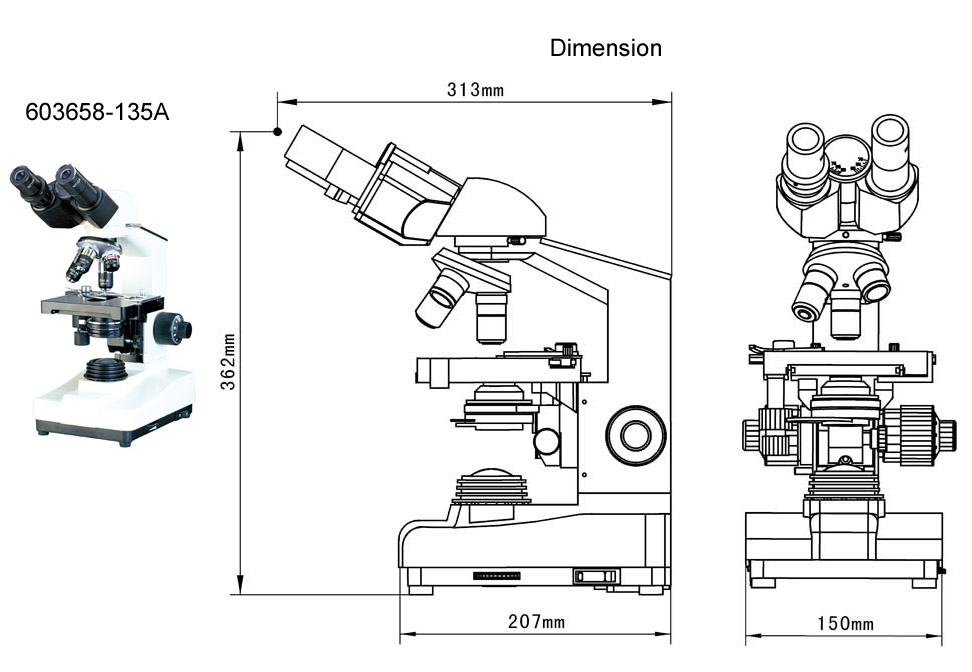 trinocular microscopes