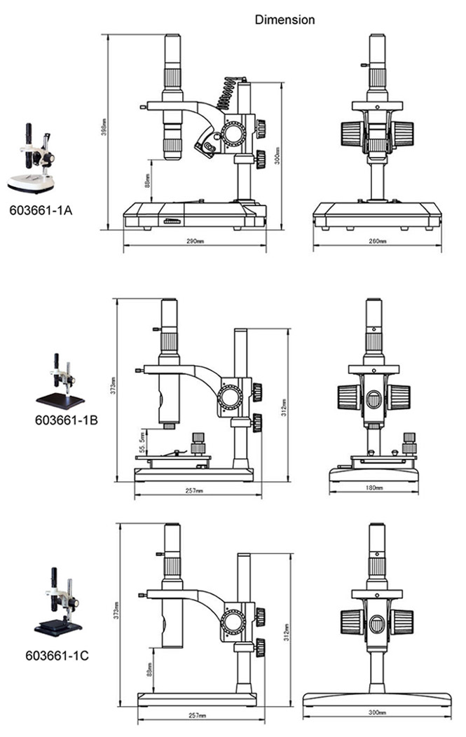 stereomicroscope