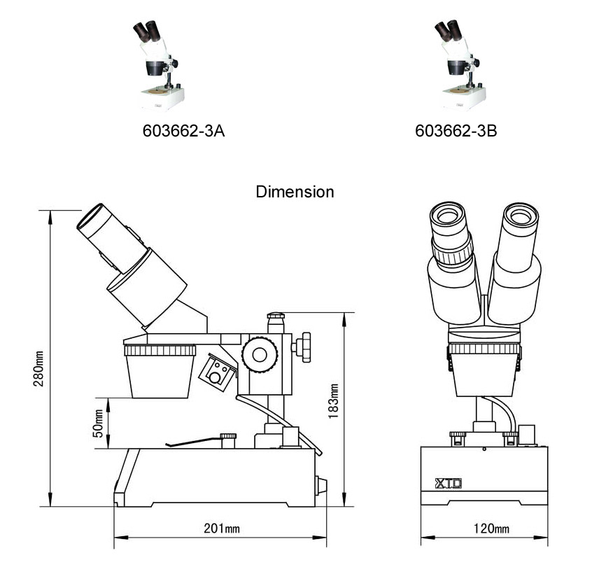 binocular  microscope