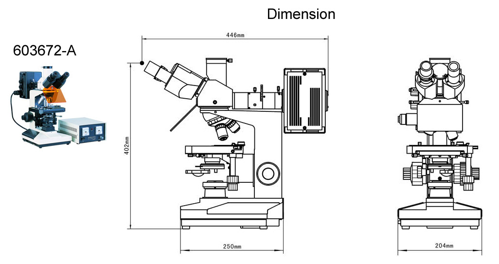 Flourescence Microscope