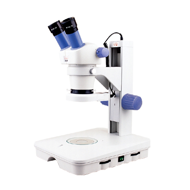 Stereo Microscope