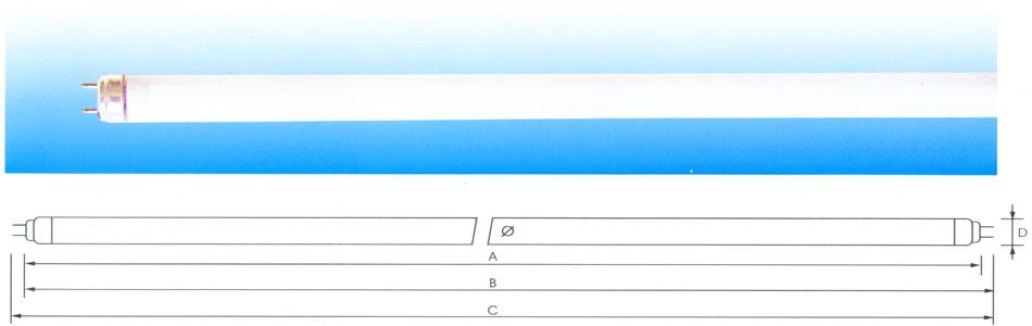 t4 fluorescent tubes