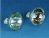 Halogen Lamp