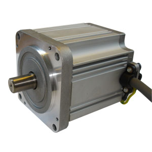 bruless motor