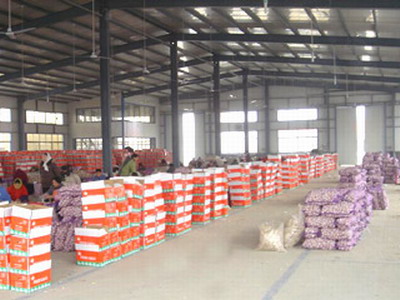 Jinxiang Chengsen Agricultural Trade Co.,Ltd