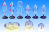 Model of mitosis of cell 9parts