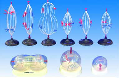 cell 9parts