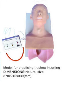 practising trachea inserting