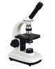 Biological　Microscope