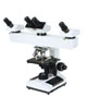Multi-viewing　Microscope