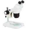 Stereo　Microscope