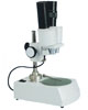 stereo microscope