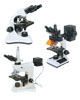 Up-right　Metallurgical　Microscope