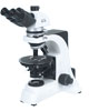 microscope