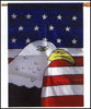us flag series