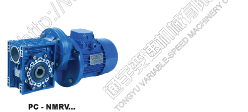 gear reducer motors