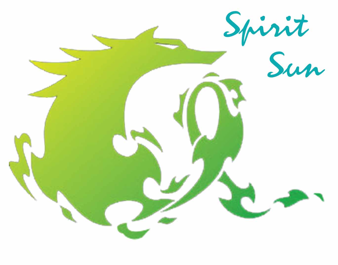 beijing Spirit Sun Co.,Ltd