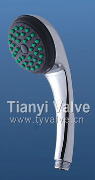 Hand-Held Shower Head