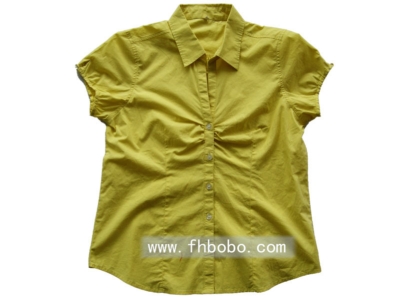 Lady's short sleeve shirt, wss08038