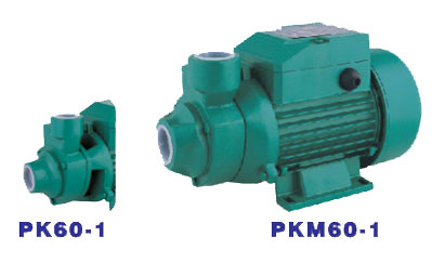 Peripheral Pump