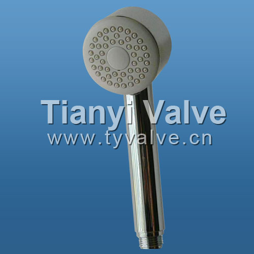 wall and hand shower fixture taps