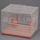 Bird Cage (RTBC10)