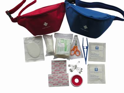 Carriable First Aid Kit