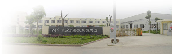 Zhejiang Onlive Belts Co., Ltd.