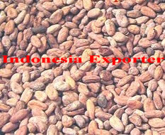 CV. Indonesia Exporter