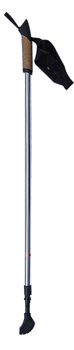 fish pole