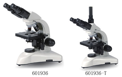 compound  microscope