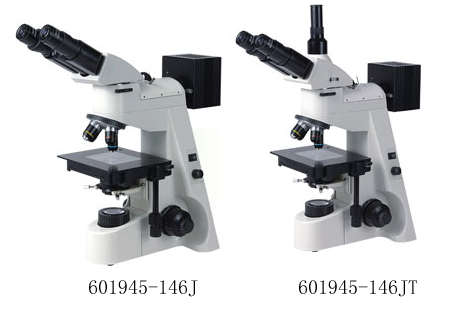 fluorescent microscope