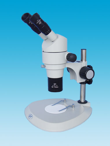 stereo microscopes