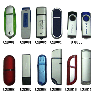 USB flash drive- OEM usb memory disk