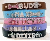 Luxury Dog Collar