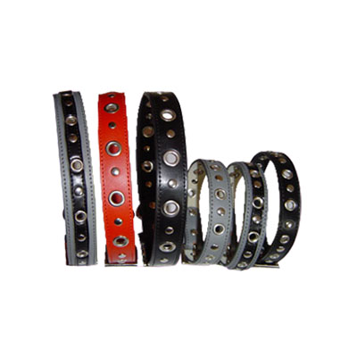 studed dog collars