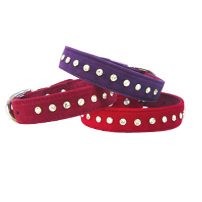 personalized pet collars