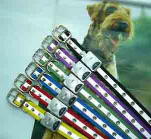 Reflective dog collar