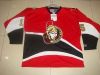 Nhl jerseys on nfljerseycity