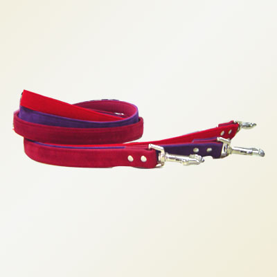 dog collars