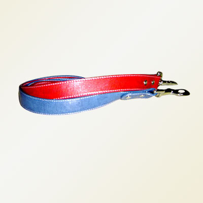 pet collar